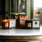 All Time Favorites Bundle